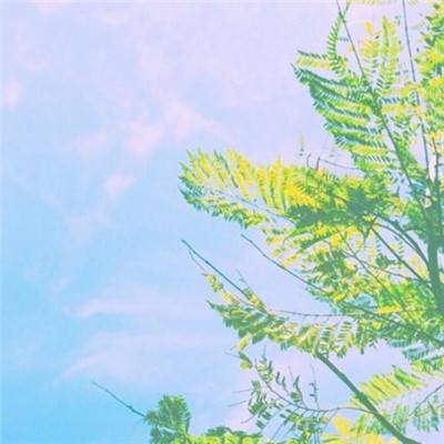 校花的名义(暂未上线)v1.0.3 安卓版